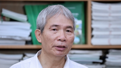 "การทดสอบแบบอเมริกัน" และขีดจำกัดความทนทานของไม้เวียดนาม