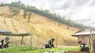 Sơn La giúp người dân 'an cư', dựng niềm tin vượt thiên tai