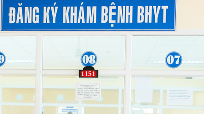 Una clinica di Da Nang è sotto inchiesta per frode assicurativa sanitaria per un importo superiore a 6 miliardi di dong vietnamiti.