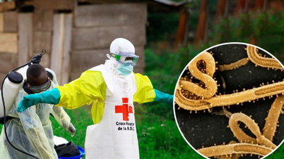 Prezentare generală a actualei epidemii de Ebola