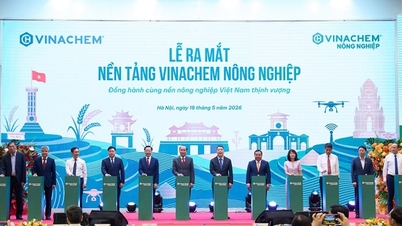 Vinachem uruchamia platformę „Vinachem Agriculture”.