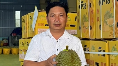 Przedsiębiorcy spodziewają się, że durian wietnamski odzyska dynamikę wzrostu.