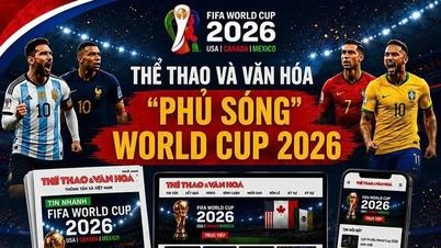 スポーツ・文化新聞は、2026年ワールドカップに向けて、マルチプラットフォームのメディアキャンペーンを開始する。