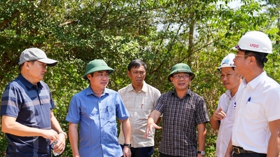 Eliminación de obstáculos para proyectos de parques industriales en la comuna de Tam Anh.