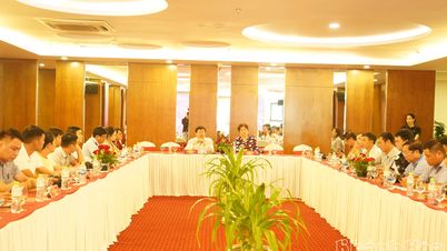 ກອງປະຊຸມຂ່າວປະກາດງານ Nha Trang Mega Sale 2026.