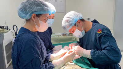 Un étranger est venu au Vietnam et a subi trois interventions chirurgicales pour corriger une erreur.
