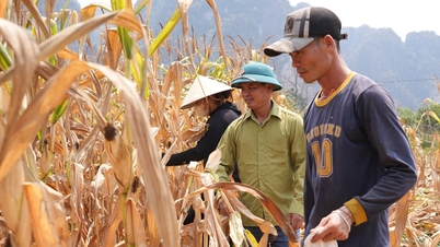 Los agricultores de las Tierras Altas se atreven a cambiar para que su economía no dependa de "una sola cesta de productos".