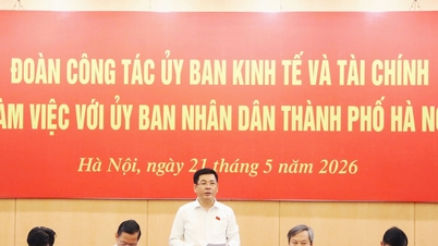 Místopředseda Národního shromáždění Nguyen Hong Dien spolupracuje s Hanojským městským lidovým výborem.