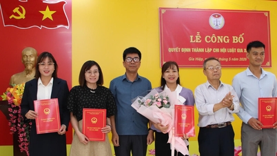 Promouvoir le rôle des associations d'avocats à Lam Dong dans le développement local.