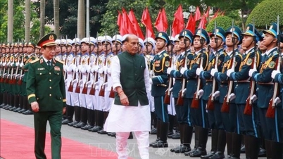 Vietnam och Indien främjar ett omfattande och effektivt försvarssamarbete.