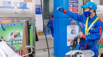 Las autoridades están decididas a tomar medidas enérgicas contra las infracciones relacionadas con el suministro y el precio del bioetanol E10 en todo el país.