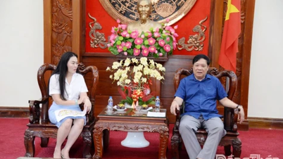 Chairman of the People's Committee of Dong Thap province, Pham Thanh Ngai, received and worked with investors.