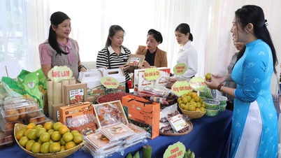 Uniunea Femeilor Lang Son: Consolidarea diseminării informațiilor privind siguranța alimentară la nivel local.