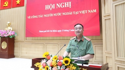 Počet cizinců vstupujících do Vietnamu v posledních letech vzrostl.