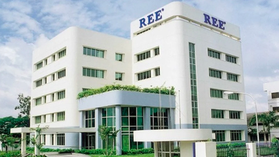 REE: Lãi tăng 15% trong khi công ty con lại nợ thuế