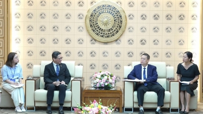 Japan og Da Nang utvider samarbeidet på mange områder.