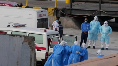 Vietnam aún no ha registrado ningún caso de infección por hantavirus (cepa andina).
