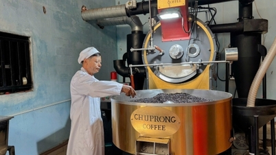 Le programme de promotion industrielle offre un soutien de 80 % aux produits RISEP.