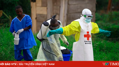 WHO ostrzega, że ​​epidemia wirusa Ebola w Kongo stanowi zagrożenie dla zdrowia publicznego.