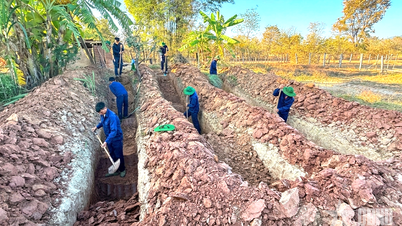 Quang Ngai: Resolutely implementing the "500-day and night campaign to search for, collect, and identify the remains of fallen soldiers"