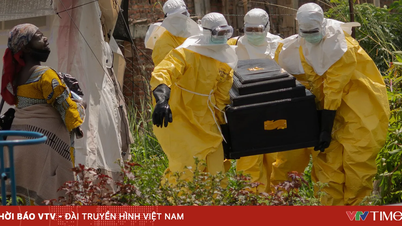 W wyniku epidemii wirusa Ebola w Kongo i Ugandzie odnotowano około 139 zgonów.