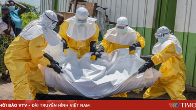 WHO jest zaniepokojona rozprzestrzenianiem się wirusa Ebola.