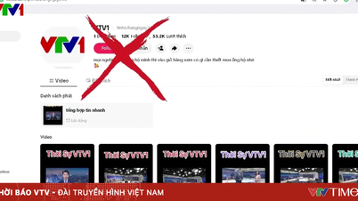 Vietnam Televizyonu (VTV) taklit ediliyor, içerikleri düzenleniyor ve internette yasa dışı olarak kullanılıyor.