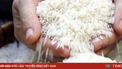 インドネシアは、長期にわたる干ばつの脅威の中、米の備蓄量を過去最高にまで積み上げた。