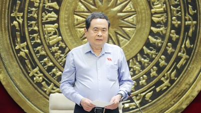 Pengerusi Dewan Undangan Negeri, Tran Thanh Man, bekerjasama dengan Jawatankuasa Tetap Jawatankuasa Undang-undang dan Keadilan Dewan Undangan Negeri.