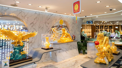 Qu’a à offrir le DOJI Shining Show, avec son espace de 1 000 m² au Diamond Crown Hai Phong ?
