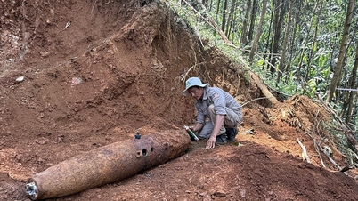 Mangrov ağaçlandırması için arazi temizleme çalışmaları sırasında bomba bulundu.