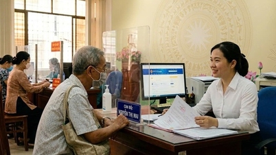 Propuestas sobre la organización del personal y la remuneración de los funcionarios a tiempo parcial de nivel comunal en Ciudad Ho Chi Minh.