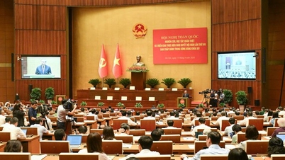 New Party regulations on Party inspection, supervision, and discipline.