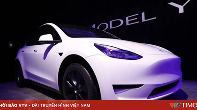 Tesla menaikkan harga Model Y.