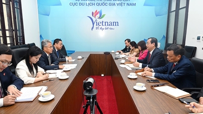 Entwicklung grenzüberschreitender Tourismusprodukte zwischen Vietnam und China.