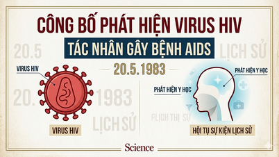 הכרזה על גילוי נגיף ה-HIV הגורם לאיידס.