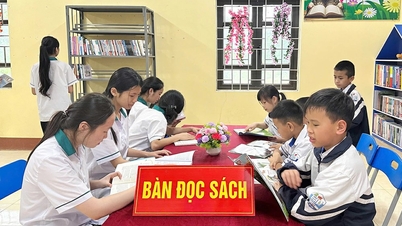 Thai Nguyen investit des milliards de dongs dans le développement des bibliothèques communautaires.