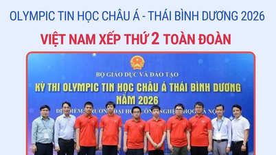 Il Vietnam si è classificato secondo assoluto alle Olimpiadi di informatica dell'Asia-Pacifico del 2026.