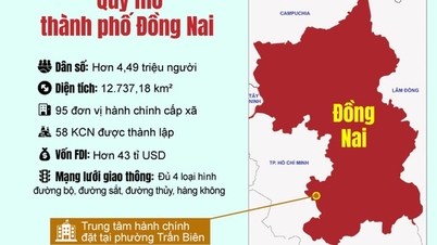 [Infographic] - Omvang en economische structuur van de stad Dong Nai