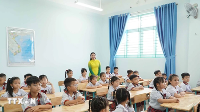 Ho Chi Minh-staden: Intensiv kampanj för att möta skolors och klassrums behov.