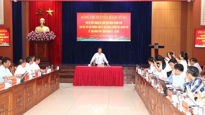 What recommendations do Tam Ky, Ban Thach, Huong Tra, and Quang Phu wards have for the new Chairman of the Da Nang City People's Committee?