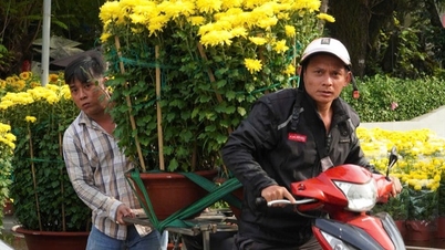 "Mang Tết về nhà" từ những chợ hoa công viên
