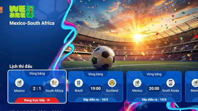 MyTV đạt thỏa thuận với VTV để phát sóng FIFA World Cup 2026