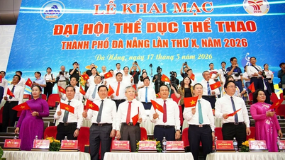 Da Nang organizuje ogólnokrajowy festiwal sportowy, mając nadzieję, że stanie się dynamicznym i przyjaznym do życia miastem.