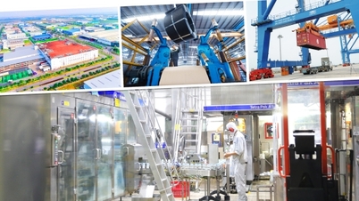 Science and technology in the Industry and Trade sector: Paving the way for new breakthroughs.