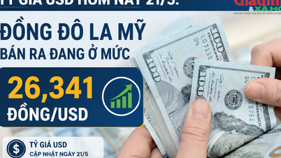 อัตราแลกเปลี่ยนเงินดอลลาร์สหรัฐในวันนี้ (21 พฤษภาคม): ราคาขายเงินดอลลาร์สหรัฐอยู่ที่ 26,341 VND/USD