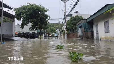 Hujan lebat telah menyebabkan banjir lokal di beberapa wilayah provinsi Quang Ninh.