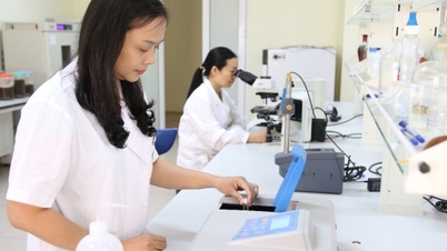 Promoting the driving role of science and technology in the Industry and Trade sector.