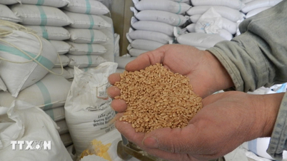 FAOは、深刻な世界的な食料価格危機のリスクについて警告している。