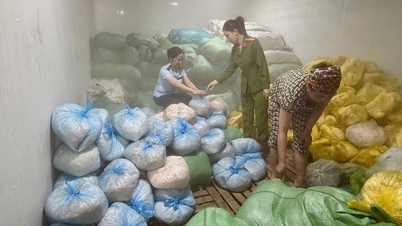 مقامات انباری حاوی بیش از ۱۴ تن پوست خوک با منشأ ناشناخته کشف کردند.